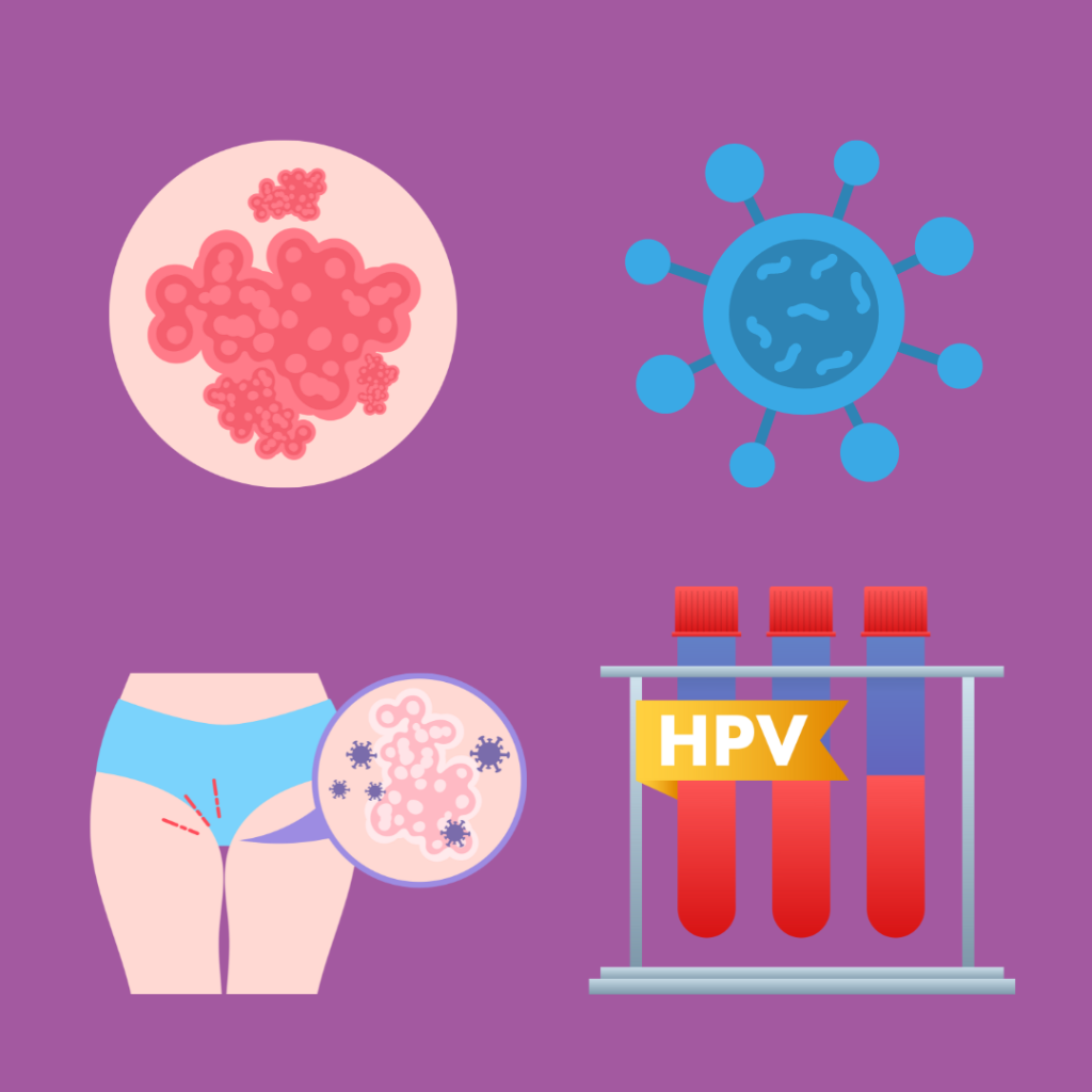 Graphic image design of different infections and conditions that can cause vulvar fissures.
