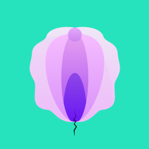Graphic design image of a vulva with a black zig-zaggy line signifying a fissure at the opening of the vagina/fourchette area.